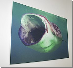 Canvas Printing